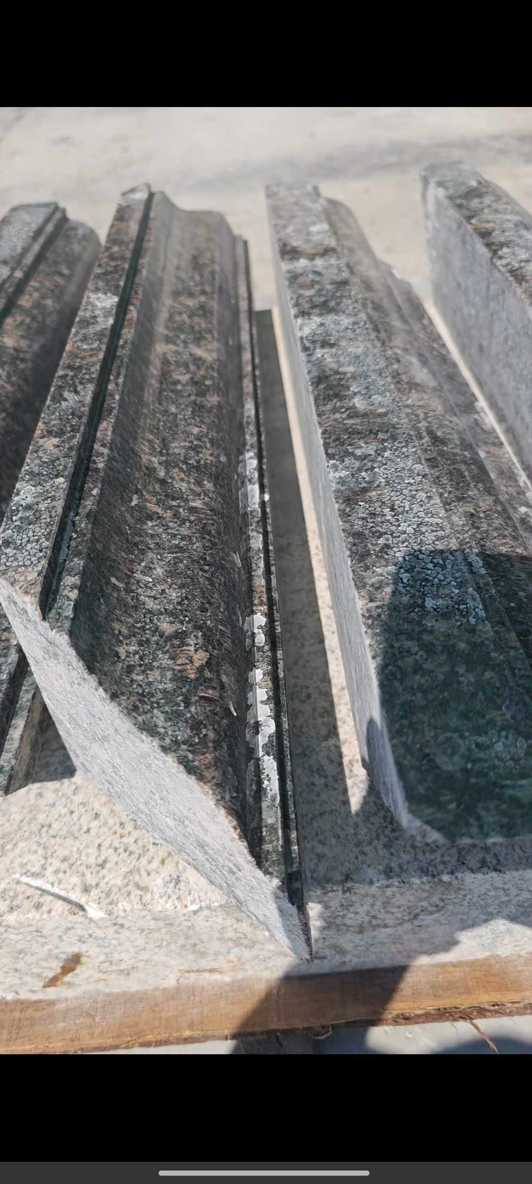 清远英国棕别墅线条